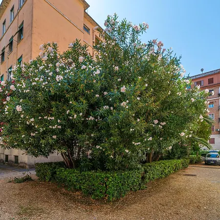 Domvs Quattro Venti Appartement Rome